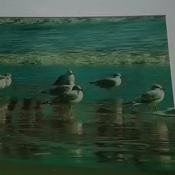 Original Photograph - Picture 2 of 2